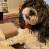 Entry image for Henry Nostrand 