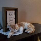 Entry image for Danie