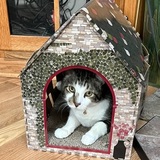 Entry image for Henry VII