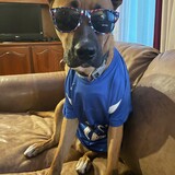 Entry image for Ragnar