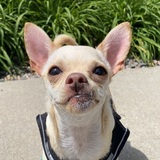 Entry image for Sweet Dee