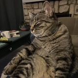 Entry image for Riley