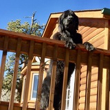 Entry image for KELSEY