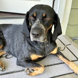 Entry image for Creole