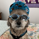 Entry image for Toby