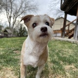 Entry image for Mädchen