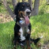 Entry image for Ludlow