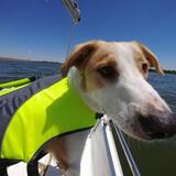 Entry image for Bobby Mac