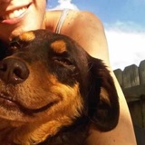 Entry image for Jack