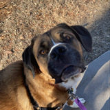 Entry image for Osito