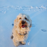 Entry image for Oatmeal