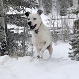 Entry image for Brue 