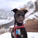 Entry image for Lucky