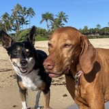 Entry image for Alyx and Kohaku 