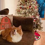 Entry image for Jack