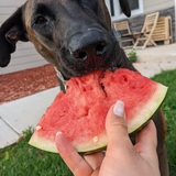 Entry image for Chester