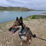 Entry image for Jaxx