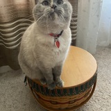 Entry image for VALERIE