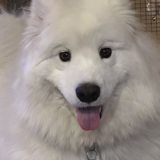 Entry image for Chilly