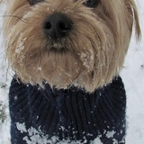 Entry image for Puff 