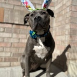 Entry image for Winnie