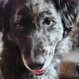 Entry image for Oakley