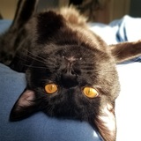 Entry image for Trip