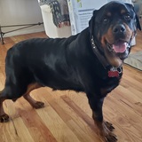 Entry image for Ryen