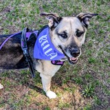 Entry image for Bella