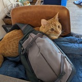 Entry image for Lance