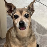 Entry image for Abby 