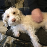 Entry image for Bella