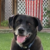 Entry image for Trooper