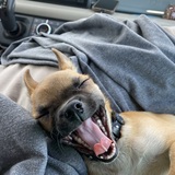 Entry image for TonyRomo