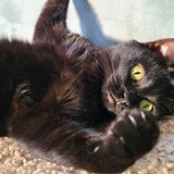 Entry image for Betty Jean