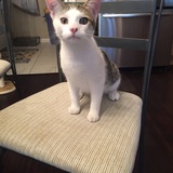 Entry image for Feller