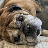 Entry image for Hesco 