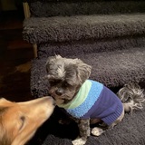 Entry image for Tevin/lolly