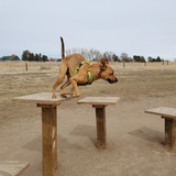 Entry image for Thor