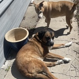 Entry image for Osito and Lu