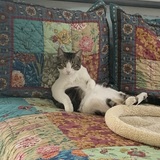 Entry image for Vinny