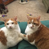 Entry image for Flecks and Keto