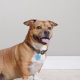 Entry image for George