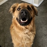 Entry image for Chance