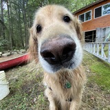 Entry image for Frisco