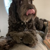 Entry image for Ginny Mae