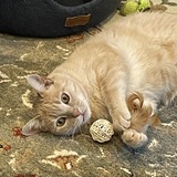 Entry image for Peaches