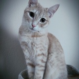 Entry image for Crouton