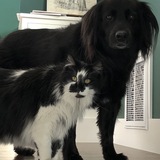 Entry image for Cash