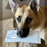 Entry image for Honey